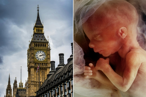Stella Creasy tables extreme abortion amendment that would remove prison time for infanticide